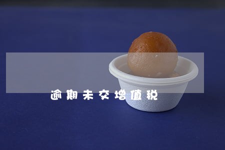 逾期未交增值税 逾期未交增值税