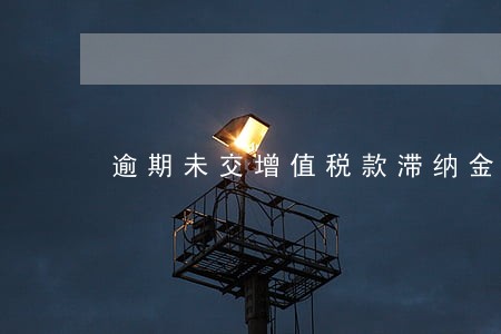 逾期未交增值税款滞纳金 逾期未交增值税款滞纳金