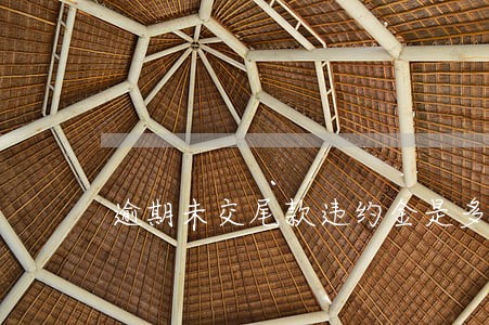 逾期未交尾款违约金是多少