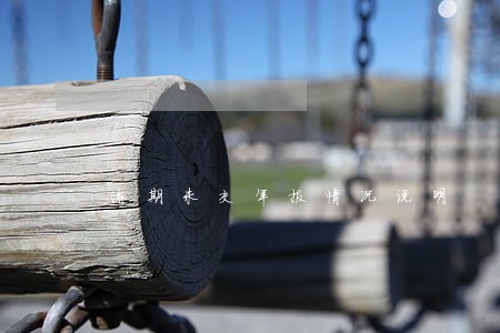 逾期未交年报情况说明