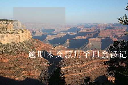 逾期未交款几个月会被记录不良 逾期未交款几个月会被记录不良