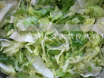 逾期未交水费停水通知 逾期未交水费停水通知