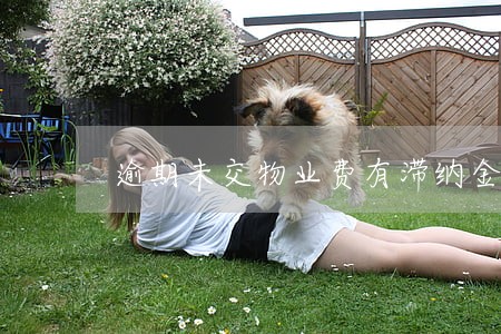 逾期未交物业费有滞纳金吗