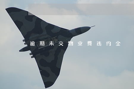 逾期未交物业费违约金 逾期未交物业费违约金