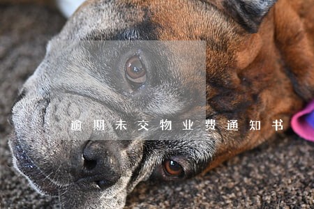 逾期未交物业费通知书 逾期未交物业费通知书