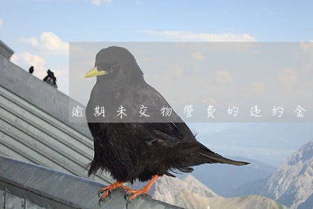 逾期未交物管费的违约金比例 逾期未交物管费的违约金比例