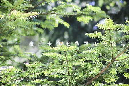 逾期未交电费罚违约金是多少 逾期未交电费罚违约金是多少