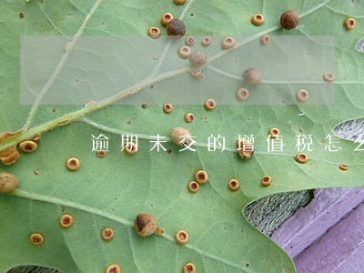 逾期未交的增值税怎么查 逾期未交的增值税怎么查