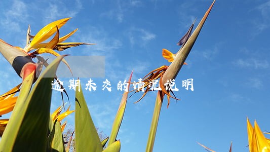 逾期未交的情况说明 逾期未交的情况说明