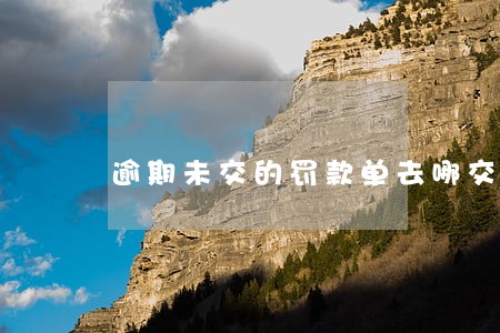 逾期未交的罚款单去哪交 逾期未交的罚款单去哪交