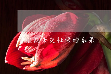 逾期未交社保的后果 逾期未交社保的后果