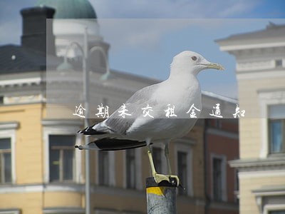 逾期未交租金通知 逾期未交租金通知