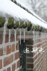 逾期未交税10天会有什么后果 逾期未交税10天会有什么后果