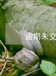 逾期未交税会有什么后果 逾期未交税会有什么后果