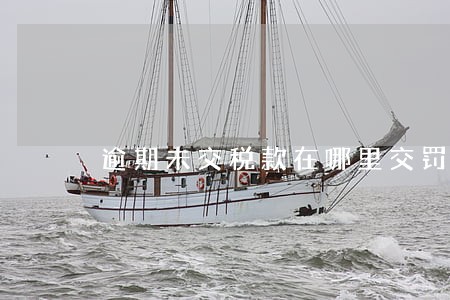 逾期未交税款在哪里交罚款