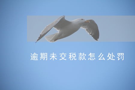 逾期未交税款怎么处罚 逾期未交税款怎么处罚