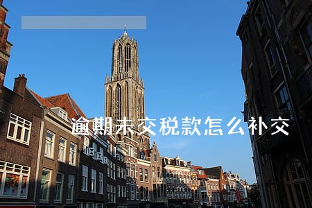 逾期未交税款怎么补交 逾期未交税款怎么补交
