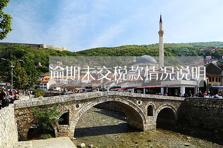 逾期未交税款情况说明 逾期未交税款情况说明