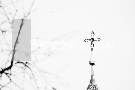 逾期未交税款有哪些