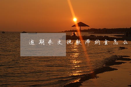 逾期未交税款滞纳金怎么扣