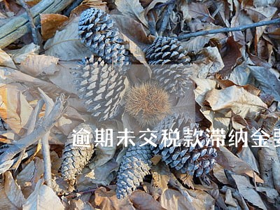 逾期未交税款滞纳金要自己去交吗 逾期未交税款滞纳金要自己去交吗