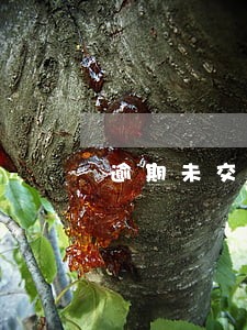 逾期未交税款滞纳金通知 逾期未交税款滞纳金通知