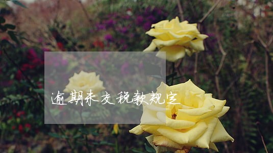 逾期未交税款规定 逾期未交税款规定