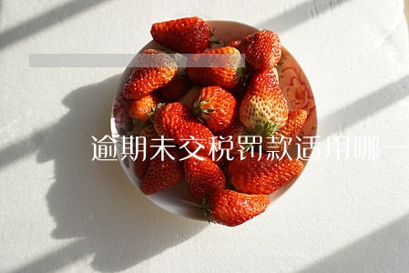 逾期未交税罚款适用哪一条 逾期未交税罚款适用哪一条