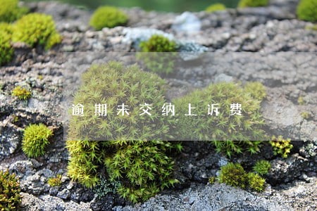 逾期未交纳上诉费 逾期未交纳上诉费