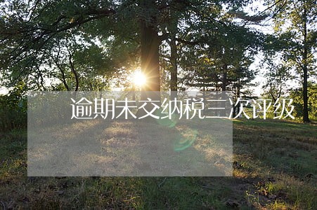逾期未交纳税三次评级 逾期未交纳税三次评级