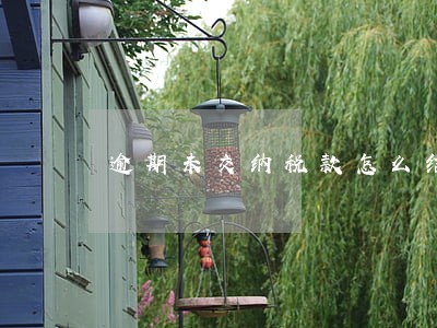 逾期未交纳税款怎么结案 逾期未交纳税款怎么结案