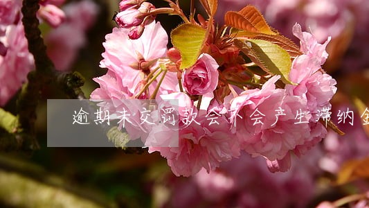 逾期未交罚款会不会产生滞纳金 逾期未交罚款会不会产生滞纳金