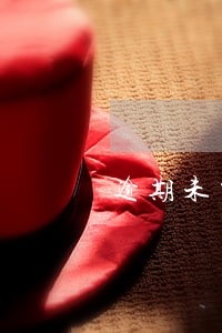 逾期未交罚款会影响征信吗