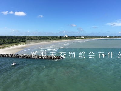 逾期未交罚款会有什么影响 逾期未交罚款会有什么影响