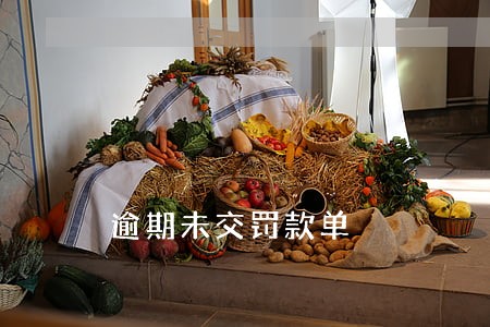 逾期未交罚款单 逾期未交罚款单