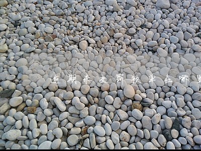 逾期未交罚款单在哪里交 逾期未交罚款单在哪里交