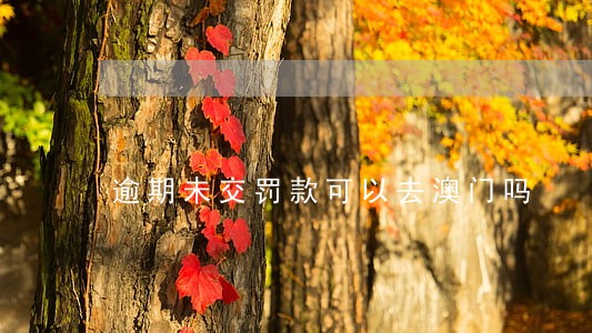 逾期未交罚款可以去澳门吗 逾期未交罚款可以去澳门吗