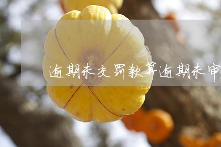 逾期未交罚款算逾期未审验吗 逾期未交罚款算逾期未审验吗