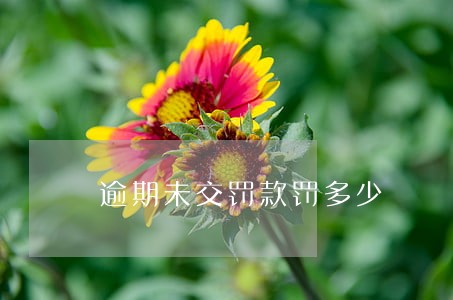逾期未交罚款罚多少 逾期未交罚款罚多少