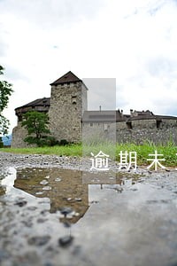 逾期未交者罚款 逾期未交者罚款