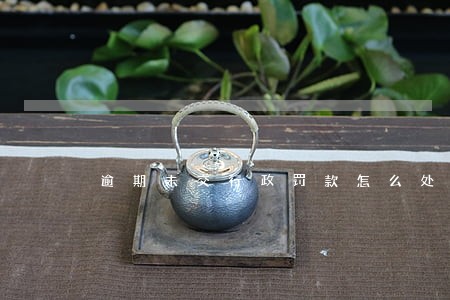 逾期未交行政罚款怎么处罚 逾期未交行政罚款怎么处罚