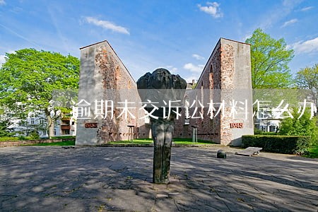 逾期未交诉讼材料怎么办 逾期未交诉讼材料怎么办