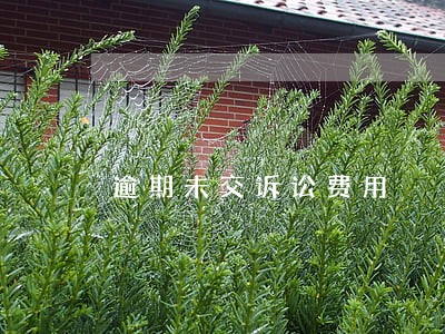逾期未交诉讼费用 逾期未交诉讼费用