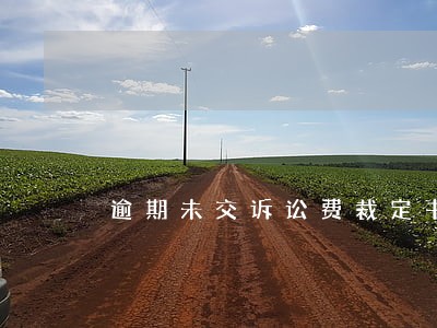 逾期未交诉讼费裁定书 逾期未交诉讼费裁定书