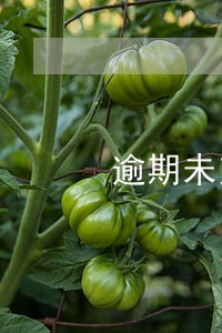 逾期未交话费影响信用了会怎样 逾期未交话费影响信用了会怎样