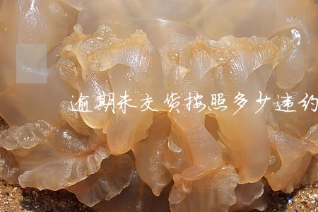 逾期未交货按照多少违约金 逾期未交货按照多少违约金