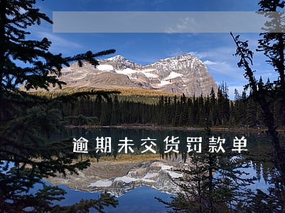 逾期未交货罚款单 逾期未交货罚款单