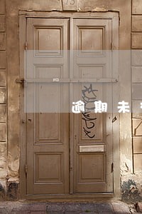 逾期未交货赔偿条款 逾期未交货赔偿条款