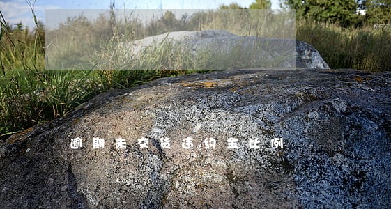逾期未交货违约金比例 逾期未交货违约金比例