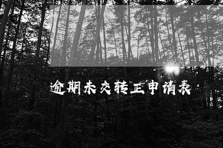 逾期未交转正申请表